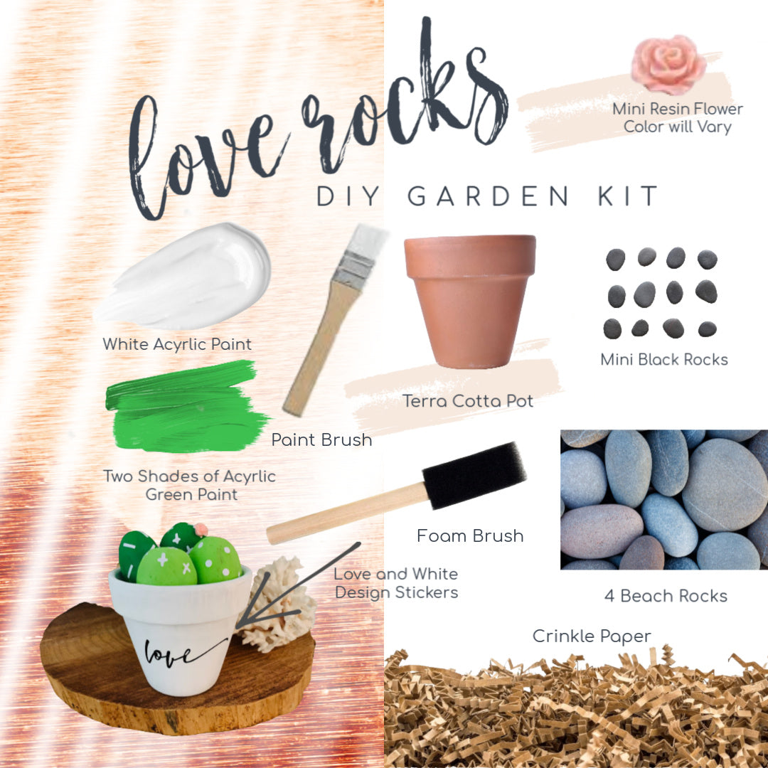 Rocking Painting Kit  Three Mini Pot Rock Cactus Garden - Create Art,  Party IN A BOX