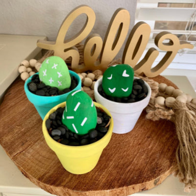 Rocking Painting Kit | Three Mini Pot Rock Cactus Garden